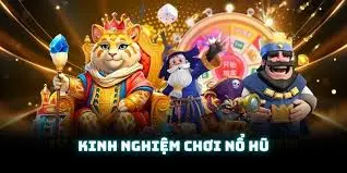 Kinh nghiệm chinh phục momo no hu hiệu quả