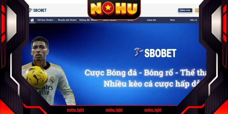 Giới thiệu chung về sbobet