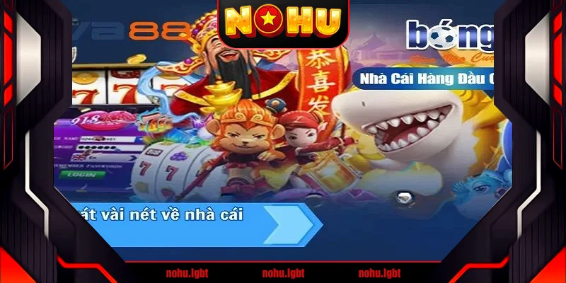 Giới thiệu chung về nhà cái Viva88